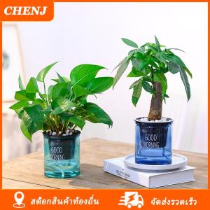 [COD] CHENJ Ship within 24 hours หม้อดอกไม้โปร่งใส Self-watering พืชดอกไม้หม้อตกแต่งบ้านสวน