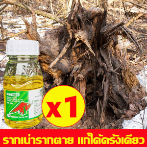 ตรงไปที่ราก รากไม้เน่า1000% ยาฆ่าตอไม้ กำจัดต้นไม้+รากเน่า ยาฆ่าต้นไม้ ไม่ต้องใช้แรงงานคน ล้มเอง ฆ่าตอไม้ ไม่เป็นอันตรายต่อดิน สารกำจัดตอไม้ ผงฆ่าต้นไม้ ยาฆ่าตอต้นไม้ ทำลายตอไม้ จำกัดตอไม้ ยาฆ่าไม้ไผ่ กำจัดวัชพืช