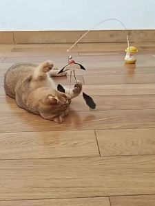 Cat Teasing Stick 360° Rotatable Detachable Wand Toy Long Rod Feather Cute Duck Cat Toy With Catnip