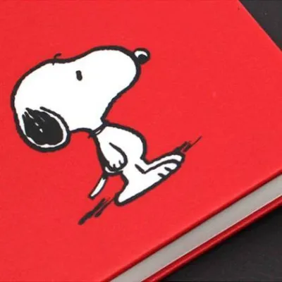 🌟Ready Stock🌟Authentic Snoopy Notebooks