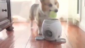 Automatic Dog Ball Launcher Toy - Interactive Tennis Ball Thrower with Treat Reward Feeder for Indoor Training & Play