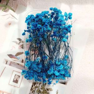 Dry Flowers Gypsophila Floral Arrangement Dried Eternal Real Flower Creative DIY Home Wedding Decoration Gift Resin Handmade Craft