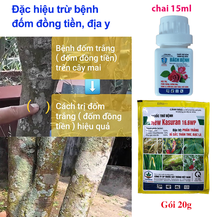 Thuốc trừ bệnh đốm đồng tiền, địa y, đốm trắng trên cây mai vàng; Bộ ...