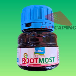 ROOTMOST 100 ML NUTRISI PERANGSANG PERTUMBUHAN AKAR // ROTMOS PUPUK / RUTMOS PUPUK