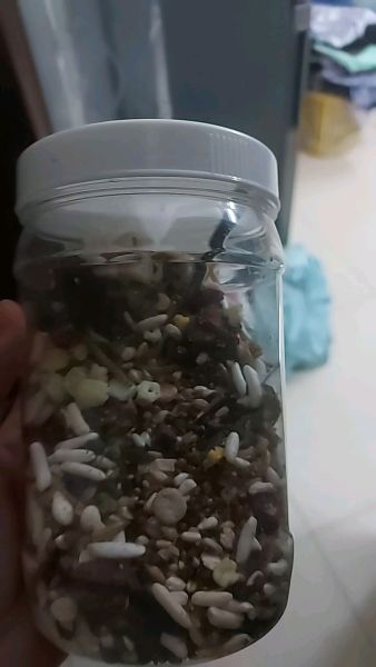 Buyer review video 2
