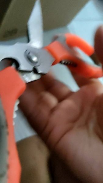 Buyer review video 3