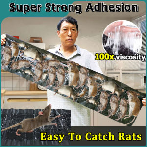 🔥Super Strong Adhesion🔥Anymore Mouse & Rat Trap Glue Board Sticky mouse board mouse glue trap Mouse Sticky Board Bait Traps COD Mouse Rat Glue Trap Rodent expert/Large Mouse rat Sticky Mice Rodent Glue Board Bait Trap