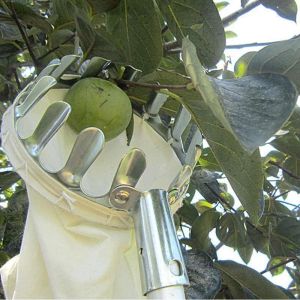 Pengait Buah Kait Buah Fruit Picker Fabric Gardening Tools Fruit Tree Picking Tool Outdoor 水果摘果器