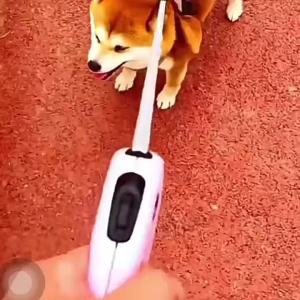 2026 Hot Sale [ Shipped from China ] New model of leash for walking dogs one-button braking retractable leash manufacturers stock for small and medium-sized cats and dogs B3