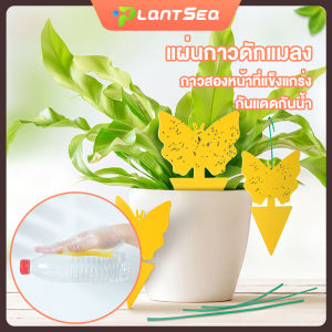 กาวดักแมลงวัน แผ่นกาวดักแมลง (สีเหลือง) มีกาวในตัว มีให้เลือกหลายขนาด แพ็คละ 12/20