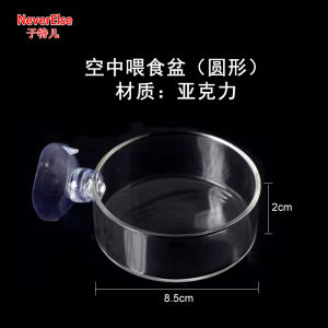Shrimp Fish Feeding Feeder Clear Acrylic With Suction Cup Dish Food Basin For Aquarium wer Shape Fish tank Feeders Shrimp Fish Feeding Feeder Clear Acrylic With Suction Cup Dish Fish
