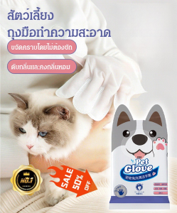 ถุงมือแบบใช้แล้วทิ้งสำหรับแมว ผ้าเช็ดทำความสะอาดสุนัข ของใช้สำหรับอาบน้ำแห้งแบบใช้แล้วทิ้งสำหรับลูกสุนัข