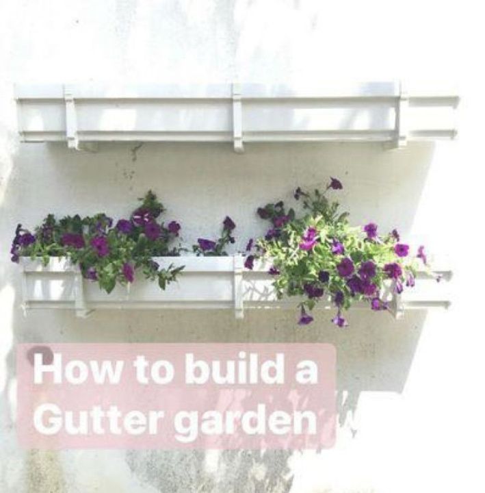 DIY Gutter Garden / FlowerPot / Gardeing Tools / Pasu Bunga / Garden