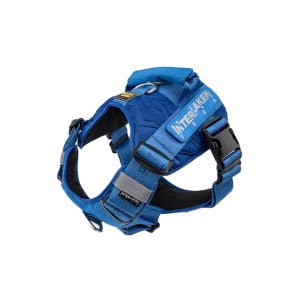 INTERLAKEN No-pull Tech Dog Harness | 5 Buckles Adjustable Padded Slim Vest With Control Handle | Water-resistant Escape Proof Impact-resistant Odour-resistant | Size XXS to XL