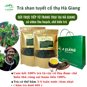 Trà shan tuyết cổ thụ Hà Giang - lục trà shan tuyết cổ thụ Hà Giang - trà xanh cổ thụ loại xịn ngọt hậu - trà shang tuyết cổ thụ gói 500gr