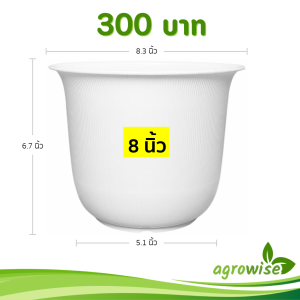 กระถาง กระถางต้นไม้ มินิมอล ถ้วยจีน ขนาด 8 นิ้ว สีขาว 10 ใบ ชิ้น อัน