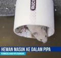 penutup pipa pembuangan saluran got ukuran 3 Inchi. 