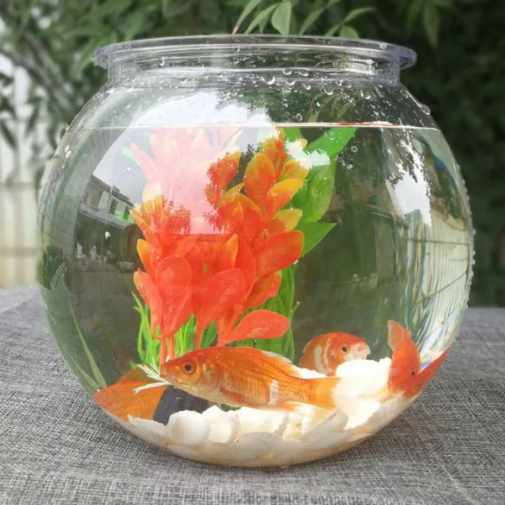 Goldfish bowl desktop transparent plastic aquarium Round turtle