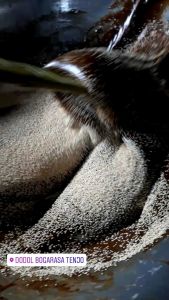 Dodol Bogarasa Tenjo 200gram