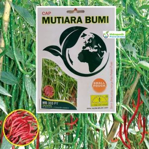 Benih Cabe Cabai Keriting Hibrida MB-333 Cocok Dataran Rendah Hingga Tinggi Mutiara Bumi Isi 100 Butir