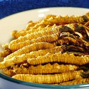 Cordyceps Sinensis 100% Dong Chong Xia Cao Wild Whole Himalayan SinensisCordyceps 100%Cordyceps Organic from Tibet (3g) 1.0 Count