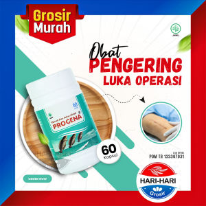 KAPSUL EKSTRAK IKAN GABUS PROCENA Isi 60kapsul Obat Pengering Luka Pasca Operasi Original BPOM