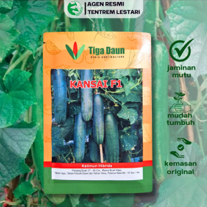Benih Timun Hibrida KANSAI F1 20 Gram Asli Cap TIGA DAUN Unggul & Tahan Penyakit