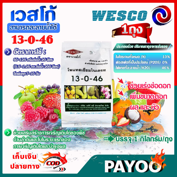 WESCO ปุ๋ยเกล็ด 13-0-46 จี-ฟาสต์ เพิ่มขนาดดอกผล