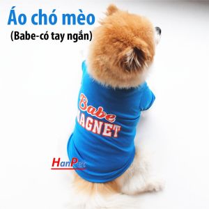 Quần áo chó mèo Babe tay ngắn