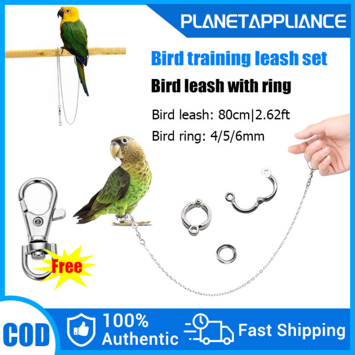 Parrot leash leg best sale