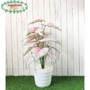 Pohon Hias Pohon Imitasi Calladium Pink X18 Semilatex Pot Ulir Lovenia Putih Plastik Hiasan Studio Dekorasi Rumah