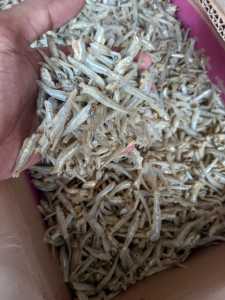 ikan asin teri jengki bulat 500 gram super Ikan asin murah (COD) bayar ditempat