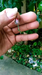 Umpan Rayap PE 1.5 cm untuk Casting Ikan Wader Chana Hampili dengan Kail Akita Kaitakitsune