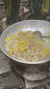 Hạt đác rim trái cây nhiều vị lựa chọn theo yêu cầu dẻo mềm dùng làm topping trà ăn kèm sữa chua hỗ trợ tiêu hoá