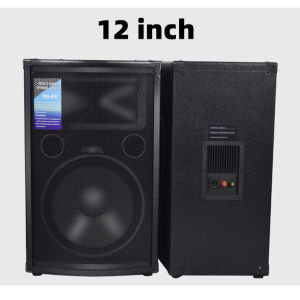 AmpAudio Professional Karaoke Speaker 12 inch 15 inch KTV Outdoor Performance High Power Home Stage Wedding HIFI Passive Speaker