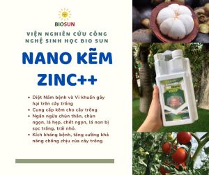 Nano kẽm Zinc++ thuốc diệt nấm cho cây thuốc trừ bệnh cây trồng Biosun chống rụng trái non 500ml - Happy Home 4U