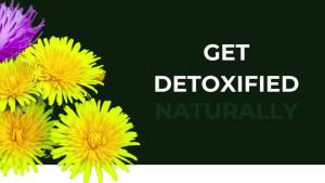 【Sandhus】Liver Cleanse & Detox Supports 11 Ingredient Blend Milk Thistle Dandelion Turmeric Ginger Extract Vitamin