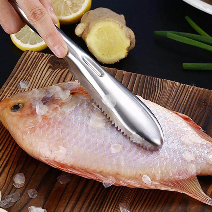 All Plastic Fish Scales Remover Fast Cleaning Fish Skin Descaler