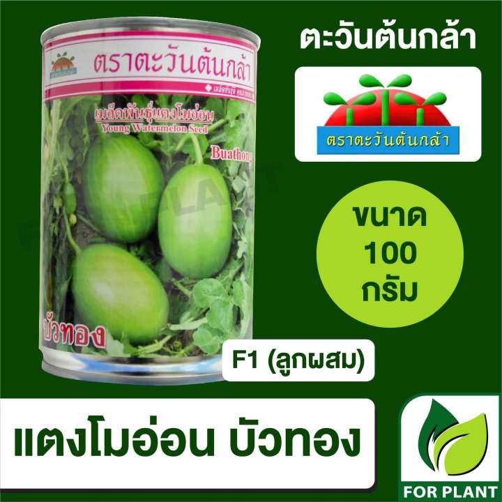 ????????????????????????????????? ???????????????????????????????????? ????????????????????????????????????????????? SP BIG ????????????????????? ???????????? 100????????????