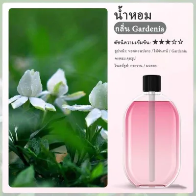เครื่องฟอกอากาศอโรมา เครื่องพ่นน้ำหอมอัตโนมัติในห้อง ฟอกอากาศ น้ําหอมปรับอากาศในห้อง