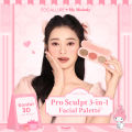 FOCALLURE X Sanrio Pro Sculpt 3-in-1 Palette Blush Contour Highlighter #DressUpSlay. 
