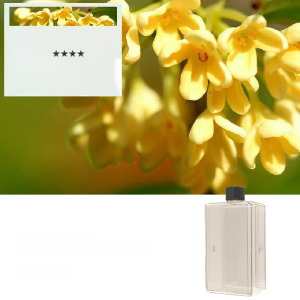 Timed Auto Spray Fragrance machine Automatic Fragrance Sprayer Modern Mini Wall Mounted Dual Purpose Fragrance Ware floral and fruity Air purification Intelligent