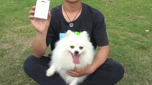 宠物定位器狗狗跟踪订位追踪项圈airtag防走丢失器定位智能追踪