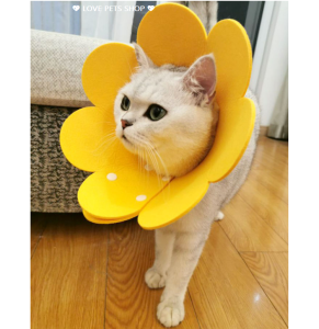 Vòng cổ chống liếm cho Chó Mèo hình bông hoa bằng xốp - Love pets shop