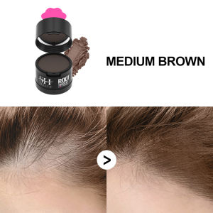 SEVICH 3-in-1 Hair Shadow Powder Hairline Instantly Cover Gray Hair Color Mud