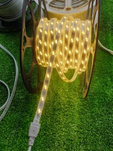 [COMBO 2m ] Dây Đèn Led Trang Trí Chống Nước 220V ( 2835 ) chưa bao gồm nguồn