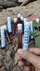 Huyết thanh cao lá nam tri mụn