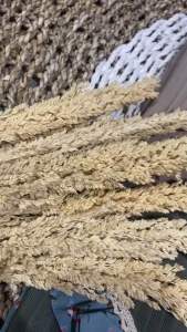 BLUS WANITA TERBARU 2022 / BLUS WANITA KNIT COMBI WOLFIS / BLUS WANITA KNIT IMPORT / ATASAN WANITA IMPORT