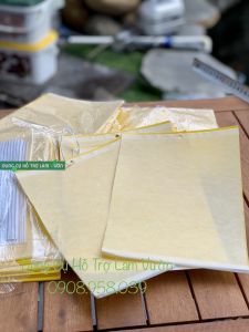 5 tấm Bẫy dính côn trùng 2 mặt dính bẫy dẫn dụ ruồi vàng bọ trĩ