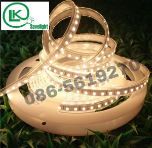 ไฟLED strip light ไฟริบบิ้น ไฟติดตู้โชว์ ไฟเส็นไฟติดอาคาร ไฟตกแต่ง ไฟประดับSMD 2835 12Vและ24v 120LED/M DC12V/24Vสว่างมาก